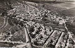 Relizane 40